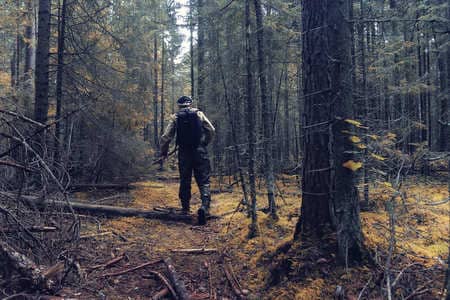 Купить диплом Егеря, лесника в Магнитогорске